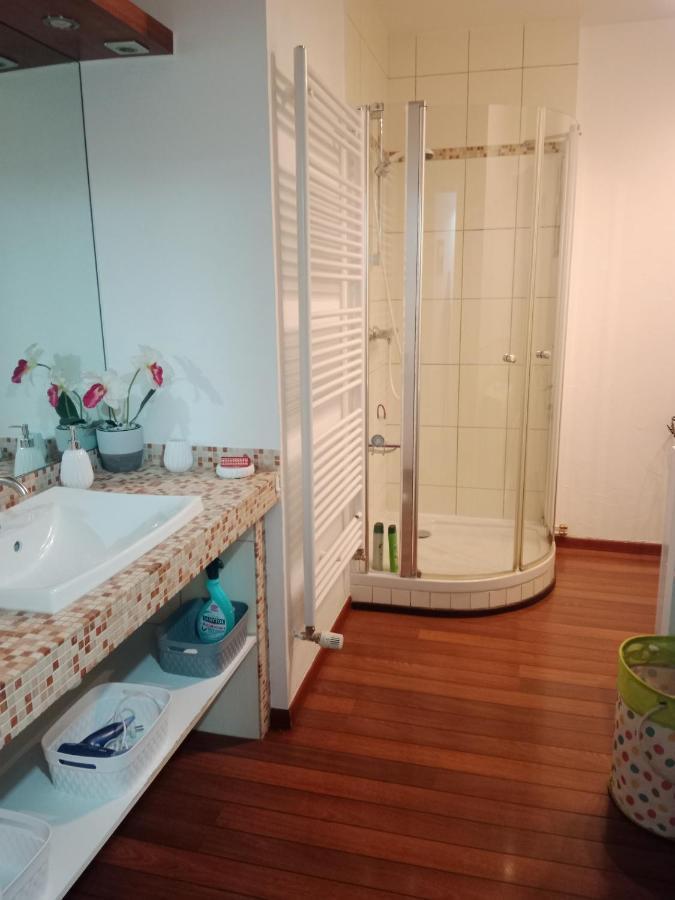 Au Repit Centre Thermes Luxeuil T3 ภายนอก รูปภาพ